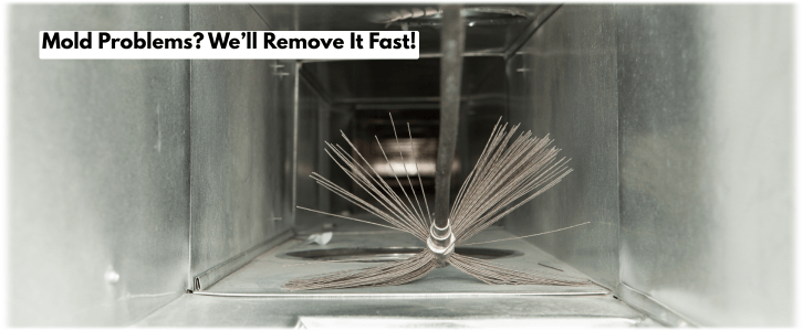 Air Duct Mold Removal in Stoughton MA